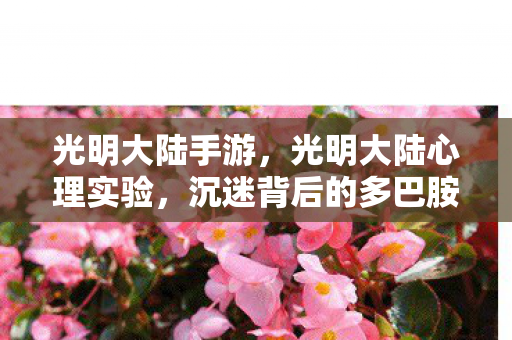 光明大陆手游,光明大陆心理实验,沉迷背后的多巴胺陷阱,细思极恐! 光明大陆手游,光明大陆心理实验,沉迷背后的多巴胺陷阱,细思极恐!