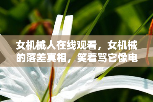 女机械人在线观看,女机械的落差真相,笑着骂它像电子垃圾,笑着笑着就哭了 女机械人在线观看,女机械的落差真相,笑着骂它像电子垃圾,笑着笑着就哭了