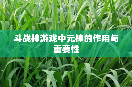 斗战神游戏中元神的作用与重要性