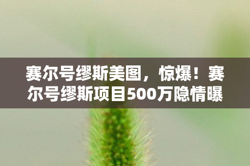 赛尔号缪斯美图,惊爆!赛尔号缪斯项目500万隐情曝光,离职老兵拍桌,这操作真让人吓一跳! 赛尔号缪斯美图,惊爆!赛尔号缪斯项目500万隐情曝光,离职老兵拍桌,这操作真让人吓一跳!