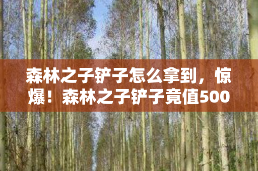 森林之子铲子怎么拿到,惊爆!森林之子铲子竟值500万?背后隐情让人吓一跳! 森林之子铲子怎么拿到,惊爆!森林之子铲子竟值500万?背后隐情让人吓一跳!