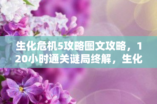 生化危机5攻略图文攻略,120小时通关谜局终解,生化5关服夜泪目,这次真的要说再见了 生化危机5攻略图文攻略,120小时通关谜局终解,生化5关服夜泪目,这次真的要说再见了
