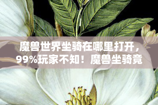 魔兽世界坐骑在哪里打开,99%玩家不知!魔兽坐骑竟藏3大逆天机制,高手都在偷偷用! 魔兽世界坐骑在哪里打开,99%玩家不知!魔兽坐骑竟藏3大逆天机制,高手都在偷偷用!
