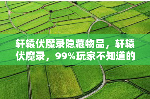 轩辕伏魔录隐藏物品,轩辕伏魔录,99%玩家不知道的3大氪金猫腻,上头到想摔手机! 轩辕伏魔录隐藏物品,轩辕伏魔录,99%玩家不知道的3大氪金猫腻,上头到想摔手机!