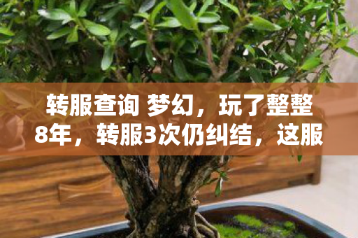 转服查询 梦幻,玩了整整8年,转服3次仍纠结,这服务器我该继续坚守还是彻底逃离? 转服查询 梦幻,玩了整整8年,转服3次仍纠结,这服务器我该继续坚守还是彻底逃离?