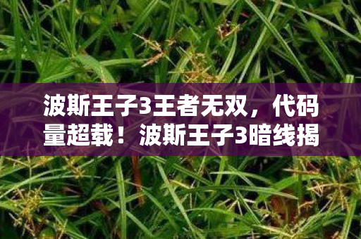 波斯王子3王者无双,代码量超载!波斯王子3暗线揭秘,头皮发麻的时空生存法则 波斯王子3王者无双,代码量超载!波斯王子3暗线揭秘,头皮发麻的时空生存法则