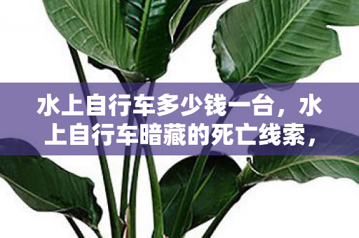 水上自行车多少钱一台,水上自行车暗藏的死亡线索,2027年悬案背后的毛骨悚然真相 水上自行车多少钱一台,水上自行车暗藏的死亡线索,2027年悬案背后的毛骨悚然真相