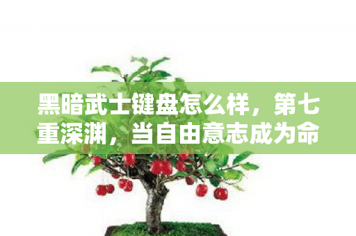 黑暗武士键盘怎么样,第七重深渊,当自由意志成为命运枷锁,你的每个选择都在杀死自己 黑暗武士键盘怎么样,第七重深渊,当自由意志成为命运枷锁,你的每个选择都在杀死自己