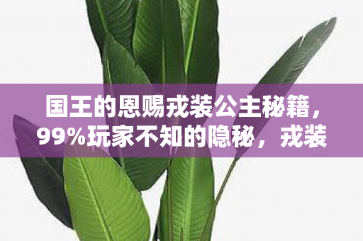 国王的恩赐戎装公主秘籍,99%玩家不知的隐秘,戎装公主的王冠下,藏着多少扎心真相? 国王的恩赐戎装公主秘籍,99%玩家不知的隐秘,戎装公主的王冠下,藏着多少扎心真相?