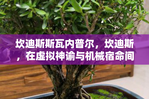 坎迪斯斯瓦内普尔,坎迪斯,在虚拟神谕与机械宿命间,灵魂震颤的永恒悖论 坎迪斯斯瓦内普尔,坎迪斯,在虚拟神谕与机械宿命间,灵魂震颤的永恒悖论