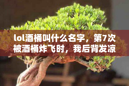 lol酒桶叫什么名字,第7次被酒桶炸飞时,我后背发凉,这蹊跷的机制竟藏了十年? lol酒桶叫什么名字,第7次被酒桶炸飞时,我后背发凉,这蹊跷的机制竟藏了十年?