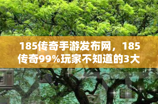 185传奇手游发布网,185传奇99%玩家不知道的3大隐藏机制!错过这波血亏十年体验! 185传奇手游发布网,185传奇99%玩家不知道的3大隐藏机制!错过这波血亏十年体验!