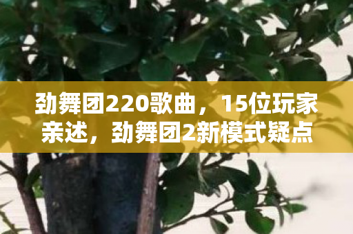 劲舞团220歌曲,15位玩家亲述,劲舞团2新模式疑点重重,大神都绷不住要吐槽? 劲舞团220歌曲,15位玩家亲述,劲舞团2新模式疑点重重,大神都绷不住要吐槽?