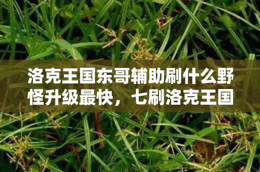 洛克王国东哥辅助刷什么野怪升级最快,七刷洛克王国东哥竟藏蹊跷,真相揭晓后背发凉! 洛克王国东哥辅助刷什么野怪升级最快,七刷洛克王国东哥竟藏蹊跷,真相揭晓后背发凉!