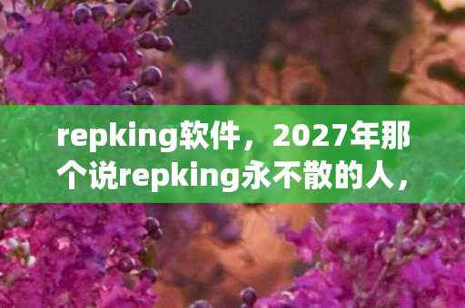 repking软件,2027年那个说repking永不散的人,让我鼻子一酸后消失人海 repking软件,2027年那个说repking永不散的人,让我鼻子一酸后消失人海
