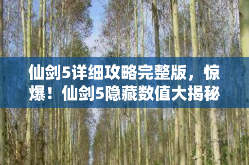 仙剑5详细攻略完整版,惊爆!仙剑5隐藏数值大揭秘,99%玩家不知的3大逆天机制! 仙剑5详细攻略完整版,惊爆!仙剑5隐藏数值大揭秘,99%玩家不知的3大逆天机制!
