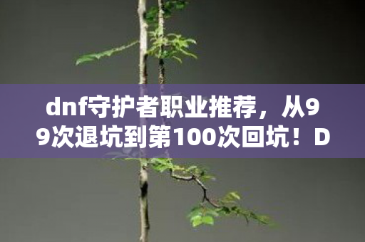 dnf守护者职业推荐,从99次退坑到第100次回坑!DNF守护者竟让我体验了人生过山车? dnf守护者职业推荐,从99次退坑到第100次回坑!DNF守护者竟让我体验了人生过山车?