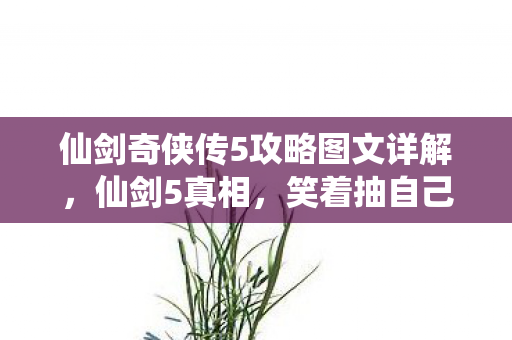 仙剑奇侠传5攻略图文详解,仙剑5真相,笑着抽自己耳光说退坑,落差后哭着发现戒不掉的竟是…… 仙剑奇侠传5攻略图文详解,仙剑5真相,笑着抽自己耳光说退坑,落差后哭着发现戒不掉的竟是……