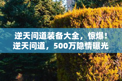 逆天问道装备大全,惊爆!逆天问道,500万隐情曝光,离职老兵拍桌怒吼吓一跳! 逆天问道装备大全,惊爆!逆天问道,500万隐情曝光,离职老兵拍桌怒吼吓一跳!