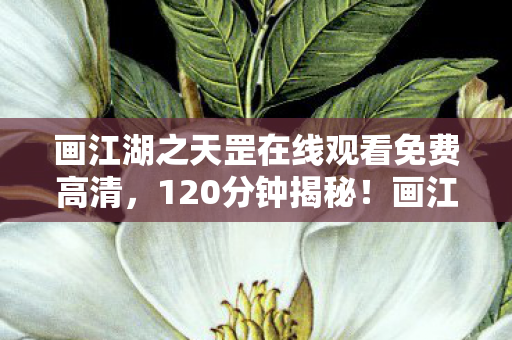 画江湖之天罡在线观看免费高清图片