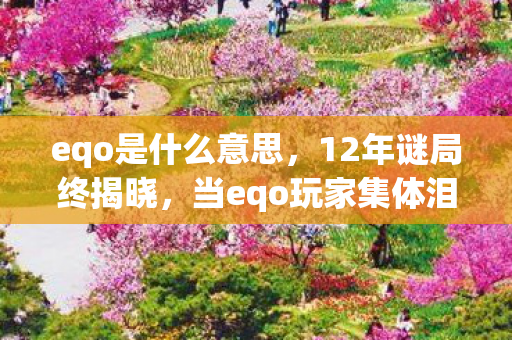 当eqo玩家集体泪目时图片
