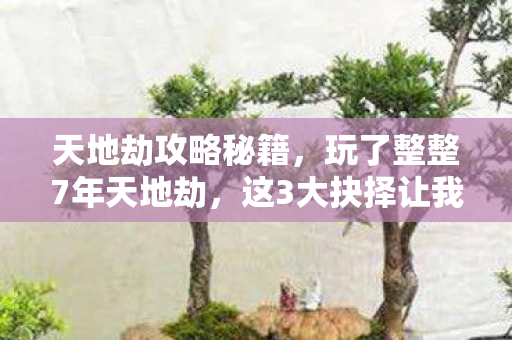 这3大抉择让我陷入无尽纠结图片