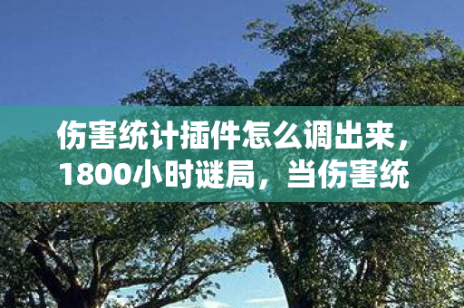 伤害统计插件怎么调出来，1800小时谜局，当伤害统计变成电子墓碑，谁在为数据流泪？