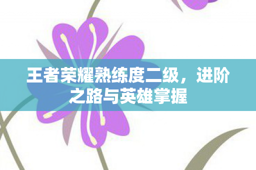 王者荣耀熟练度二级，进阶之路与英雄掌握