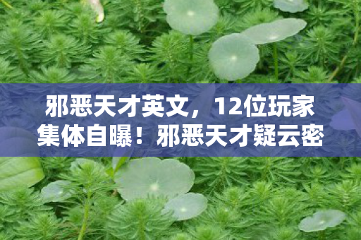 邪恶天才英文,12位玩家集体自曝!邪恶天才疑云密布,网吧老炮当场绷不住 邪恶天才英文,12位玩家集体自曝!邪恶天才疑云密布,网吧老炮当场绷不住