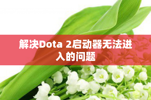 解决Dota 2启动器无法进入的问题 解决Dota 2启动器无法进入的问题