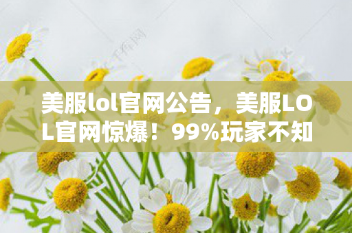 美服lol官网公告，美服LOL官网惊爆！99%玩家不知的3大隐藏数值，胜率暴涨30%的秘密！