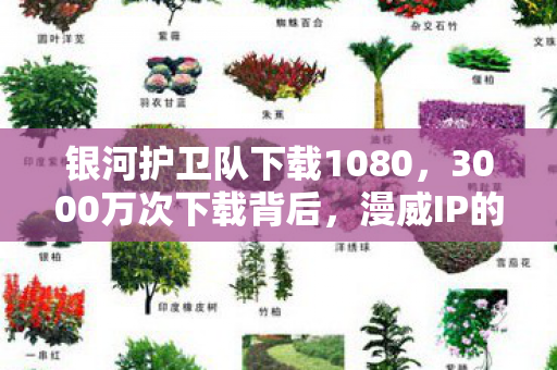 银河护卫队下载1080,3000万次下载背后,漫威IP的冷门游戏化,竟撬动23亿增量市场 银河护卫队下载1080,3000万次下载背后,漫威IP的冷门游戏化,竟撬动23亿增量市场