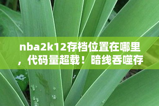 nba2k12存档位置在哪里，代码量超载！暗线吞噬存档，你的2k12记忆正在头皮发麻地重组