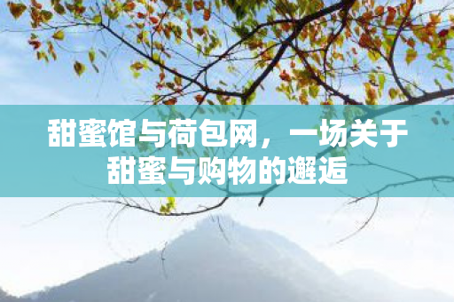 甜蜜馆与荷包网，一场关于甜蜜与购物的邂逅