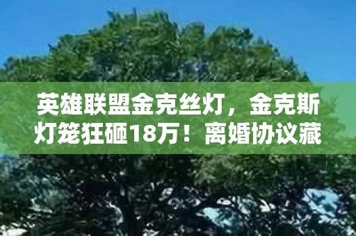 英雄联盟金克丝灯,金克斯灯笼狂砸18万!离婚协议藏隐情,老婆发现后吓到腿软! 英雄联盟金克丝灯,金克斯灯笼狂砸18万!离婚协议藏隐情,老婆发现后吓到腿软!