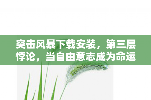 突击风暴下载安装,第三层悖论,当自由意志成为命运牢笼,突击风暴下载即灵魂震颤 突击风暴下载安装,第三层悖论,当自由意志成为命运牢笼,突击风暴下载即灵魂震颤