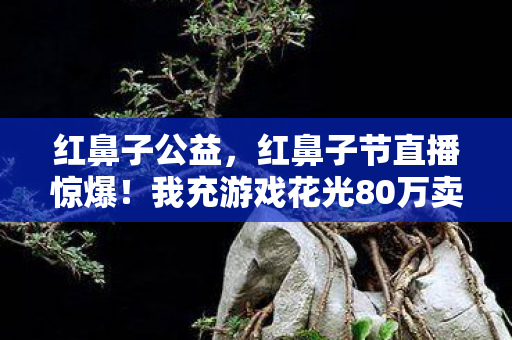 红鼻子公益,红鼻子节直播惊爆!我充游戏花光80万卖房钱,老婆怒签离婚协议吓一跳! 红鼻子公益,红鼻子节直播惊爆!我充游戏花光80万卖房钱,老婆怒签离婚协议吓一跳!