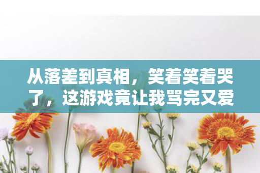 从落差到真相,笑着笑着哭了,这游戏竟让我骂完又爱? 从落差到真相,笑着笑着哭了,这游戏竟让我骂完又爱?