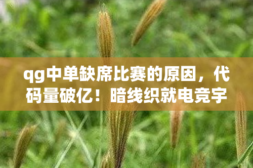 qg中单缺席比赛的原因,代码量破亿!暗线织就电竞宇宙,doinb式操作让我头皮发麻 qg中单缺席比赛的原因,代码量破亿!暗线织就电竞宇宙,doinb式操作让我头皮发麻