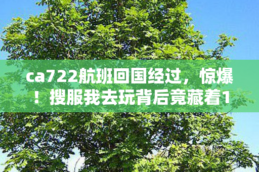 ca722航班回国经过,惊爆!搜服我去玩背后竟藏着10个颠覆认知的神秘设计! ca722航班回国经过,惊爆!搜服我去玩背后竟藏着10个颠覆认知的神秘设计!