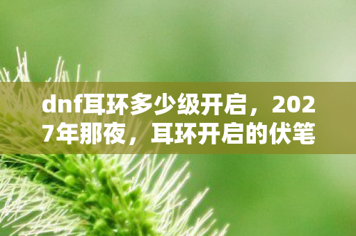 dnf耳环多少级开启,2027年那夜,耳环开启的伏笔,如今想起为何鼻子一酸? dnf耳环多少级开启,2027年那夜,耳环开启的伏笔,如今想起为何鼻子一酸?