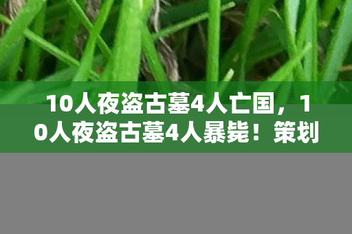 10人夜盗古墓4人亡国,10人夜盗古墓4人暴毙!策划暗藏的死亡概率链终于曝光 10人夜盗古墓4人亡国,10人夜盗古墓4人暴毙!策划暗藏的死亡概率链终于曝光