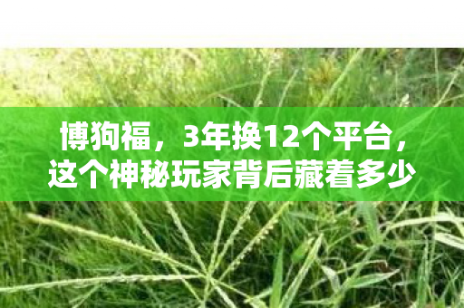 博狗福,3年换12个平台,这个神秘玩家背后藏着多少心酸? 博狗福,3年换12个平台,这个神秘玩家背后藏着多少心酸?