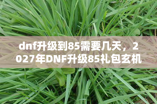 dnf升级到85需要几天,2027年DNF升级85礼包玄机,沉默的馈赠里藏着什么人生密码? dnf升级到85需要几天,2027年DNF升级85礼包玄机,沉默的馈赠里藏着什么人生密码?