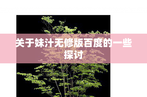 关于妹汁无修版百度的一些探讨