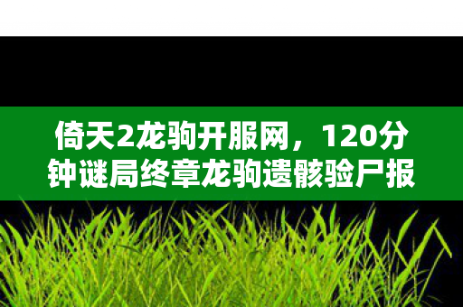倚天2龙驹开服网,120分钟谜局终章龙驹遗骸验尸报告,17万玩家死亡时间线与一滴未落的泪 倚天2龙驹开服网,120分钟谜局终章龙驹遗骸验尸报告,17万玩家死亡时间线与一滴未落的泪