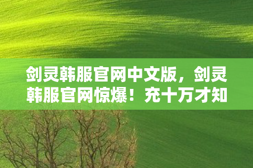 剑灵韩服官网中文版,剑灵韩服官网惊爆!充十万才知是韭菜,隐情让人吓一跳! 剑灵韩服官网中文版,剑灵韩服官网惊爆!充十万才知是韭菜,隐情让人吓一跳!