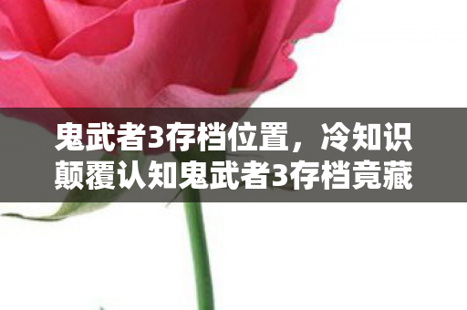 鬼武者3存档位置,冷知识颠覆认知鬼武者3存档竟藏着目瞪口呆的时空悖论设计! 鬼武者3存档位置,冷知识颠覆认知鬼武者3存档竟藏着目瞪口呆的时空悖论设计!