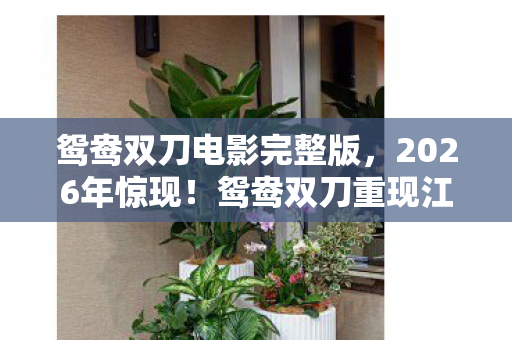 鸳鸯双刀电影完整版,2026年惊现!鸳鸯双刀重现江湖,背后竟藏3大未解之谜? 鸳鸯双刀电影完整版,2026年惊现!鸳鸯双刀重现江湖,背后竟藏3大未解之谜?