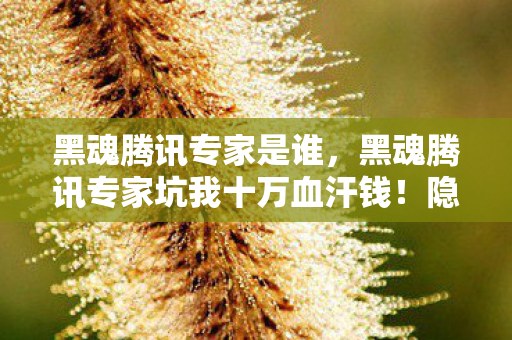 黑魂腾讯专家是谁,黑魂腾讯专家坑我十万血汗钱!隐情曝光,玩家惊掉下巴! 黑魂腾讯专家是谁,黑魂腾讯专家坑我十万血汗钱!隐情曝光,玩家惊掉下巴!